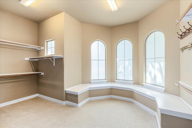 118 NE Verrena Way, Georgetown, TX 78628 - spacious closet with carpet