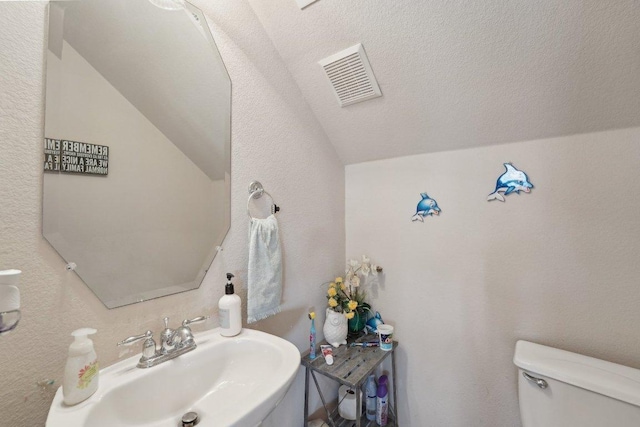4013 Veiled Falls Dr, Pflugerville, TX 78660 - bathroom featuring lofted ceiling, toilet, and a sink