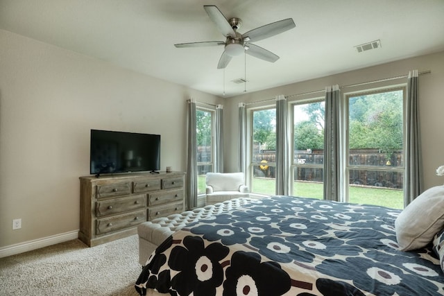 550 Cortona Ln, Georgetown, TX 78628 - photo 13
