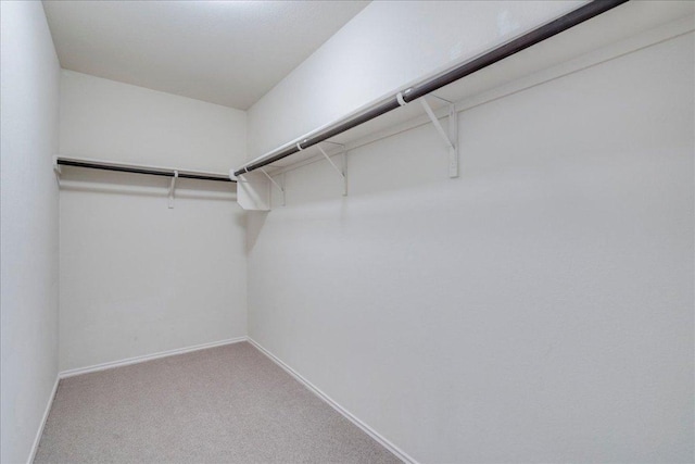 186 Sundown Ave, Buda, TX 78610 - photo 23
