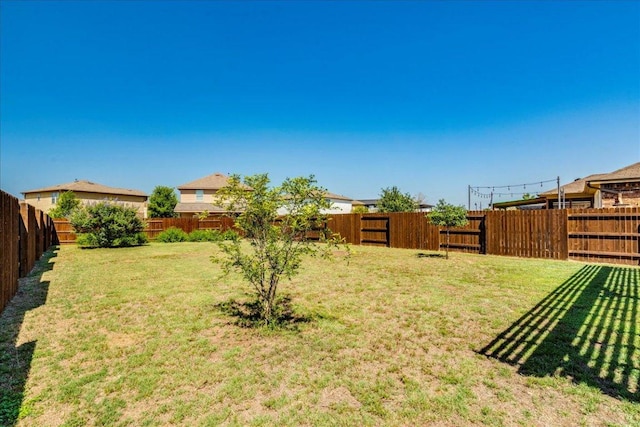 186 Sundown Ave, Buda, TX 78610 - view of yard