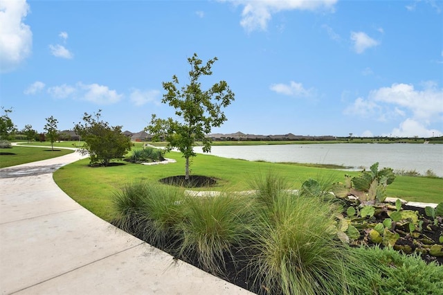 186 Sundown Ave, Buda, TX 78610 - photo 35