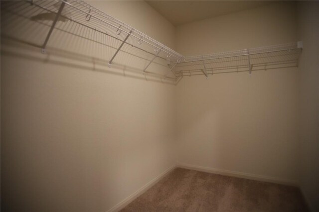 4005 Cressler Ln Unit 16G, Jarrell, TX 76537 - photo 32