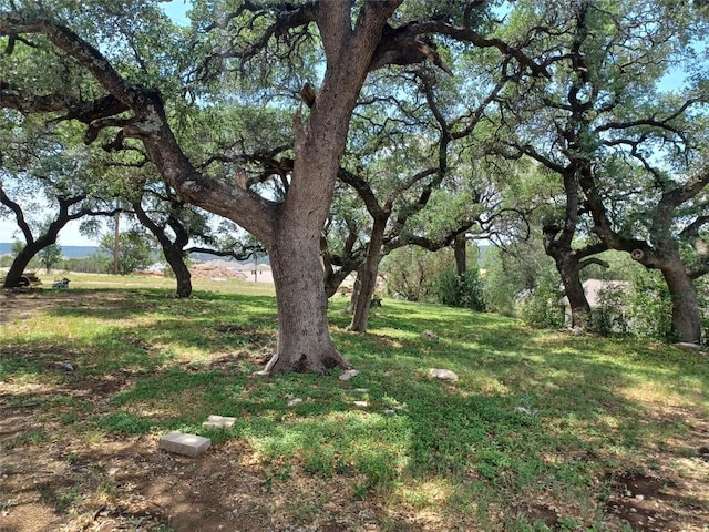 23393 Nameless Rd Unit 164, Leander, TX 78641 - view of grassy yard