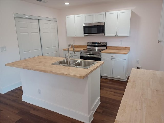 23393 Nameless Rd Unit 164, Leander, TX 78641 - kitchen featuring stainless steel appliances, butcher block counters, a sink, dark wood-style floors, and baseboards