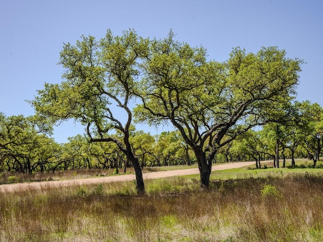 000 Little Creek Rnch, Johnson City, TX 78638