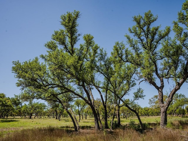 000 Little Creek Rnch, Johnson City, TX 78638
