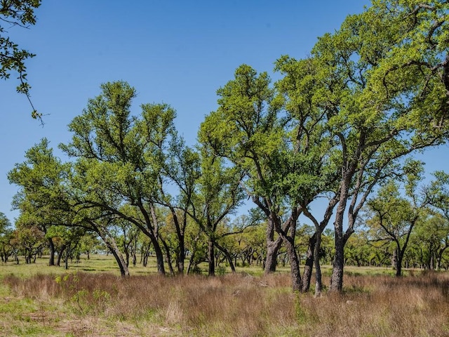 000 Little Creek Rnch, Johnson City, TX 78638