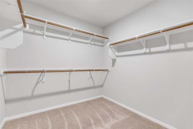 113 Bent Creek Ln, Georgetown, TX 78628 - walk in closet featuring carpet floors