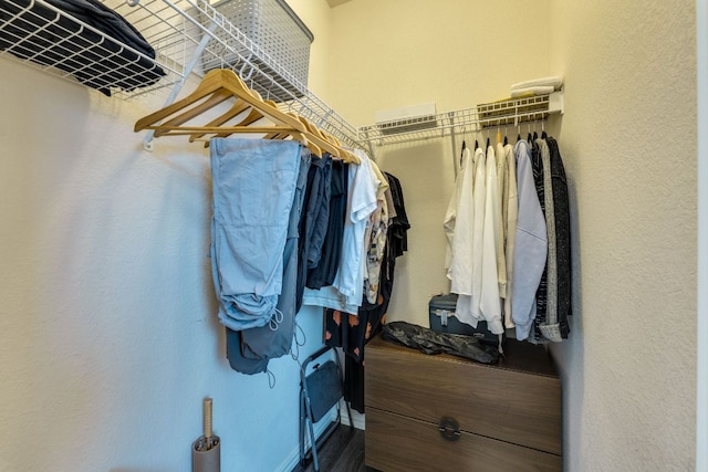 745 Bent Wood Pl, Round Rock, TX 78665 - view of spacious closet