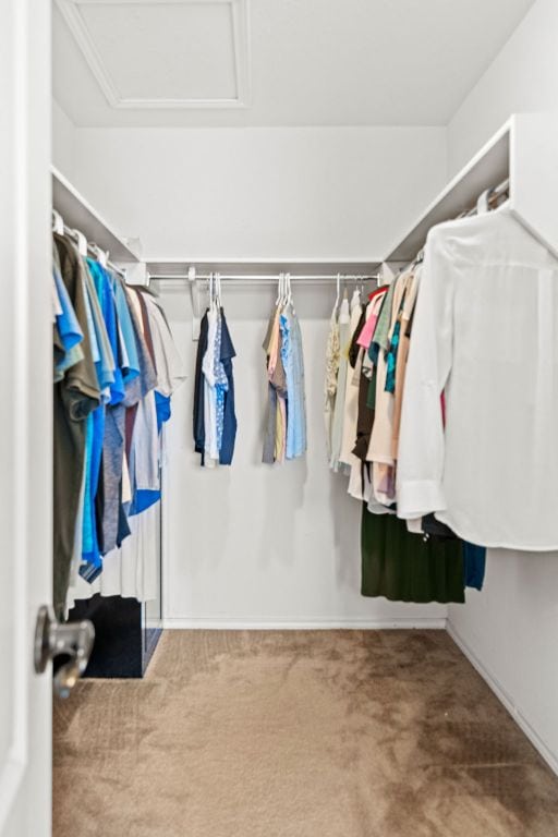 122 Mancos Dr, Georgetown, TX 78626 - spacious closet featuring attic access and carpet flooring
