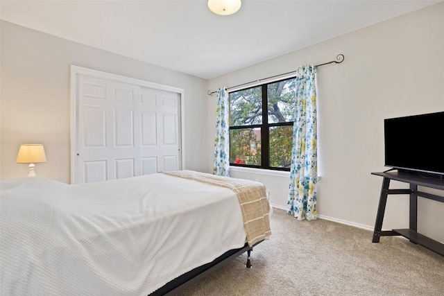 223 Woodlake Dr, Georgetown, TX 78633 - bedroom with carpet flooring and a closet