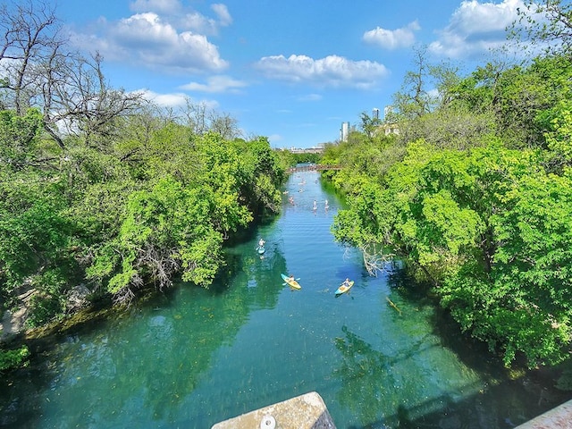 1900 Barton Springs Rd Unit 4013, Austin, TX 78704 - water view