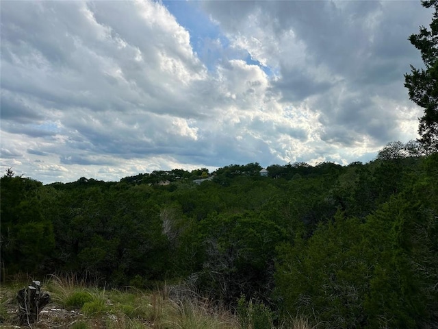 3214 Hamilton Ave, Lago Vista, TX 78645