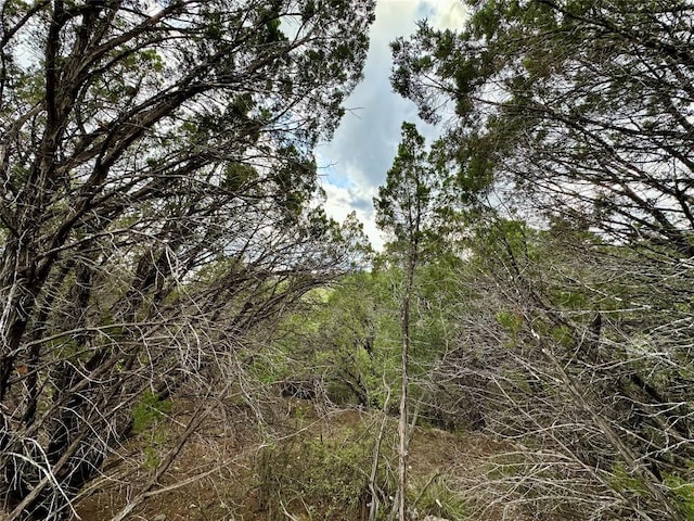 3214 Hamilton Ave, Lago Vista, TX 78645