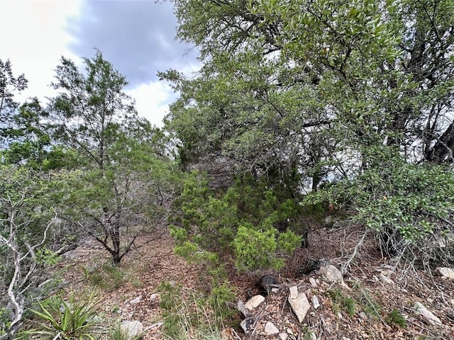 3214 Hamilton Ave, Lago Vista, TX 78645