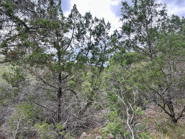 3214 Hamilton Ave, Lago Vista, TX 78645