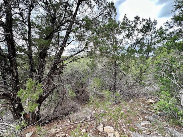3214 Hamilton Ave, Lago Vista, TX 78645