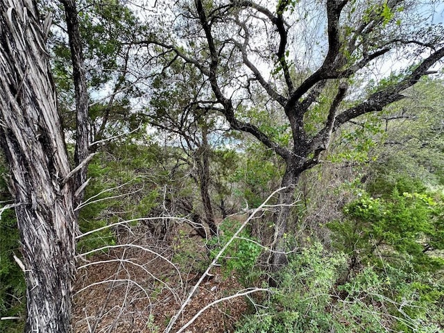 3214 Hamilton Ave, Lago Vista, TX 78645