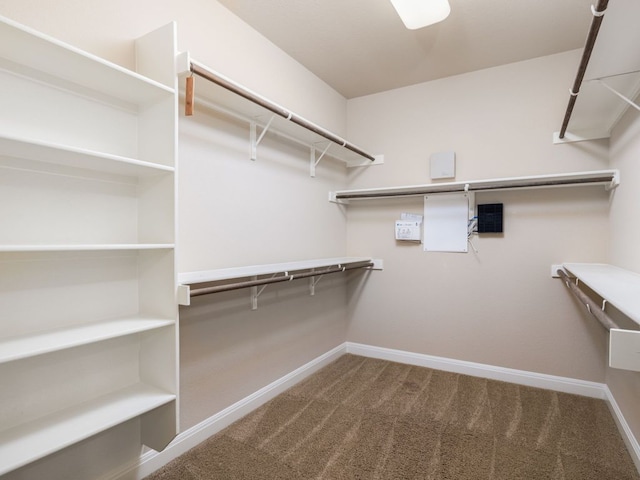 4332 Teravista Club Dr Unit 4, Round Rock, TX 78665 - photo 26
