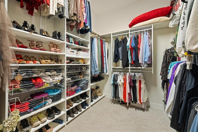 310 Lauren Trl, Cedar Park, TX 78613 - spacious closet with carpet flooring