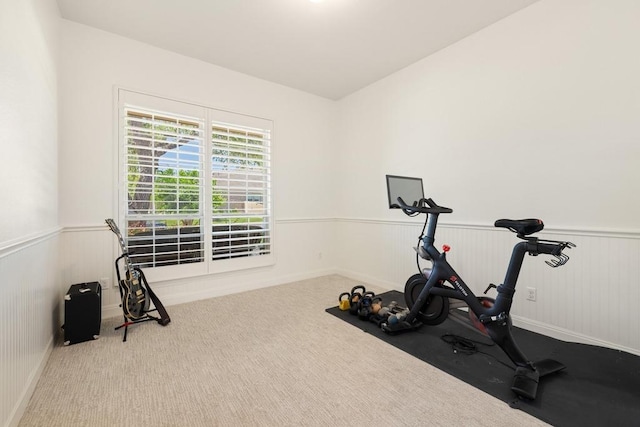310 Lauren Trl, Cedar Park, TX 78613 - workout area with a wainscoted wall and carpet flooring