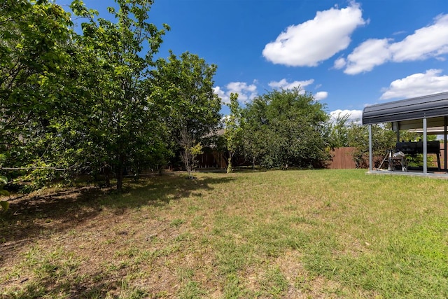 113 Blossom Valley Strm, Buda, TX 78610 - view of yard