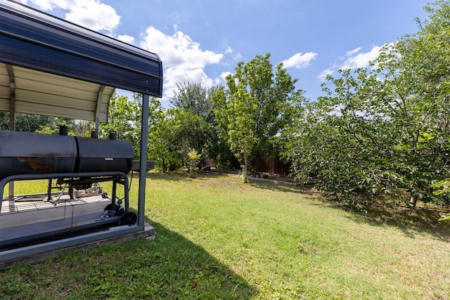 113 Blossom Valley Strm, Buda, TX 78610 - view of grassy yard