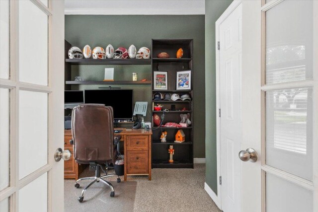 119 Tallwood Cir, Salado, TX 76571 - office area with carpet flooring, crown molding, and baseboards