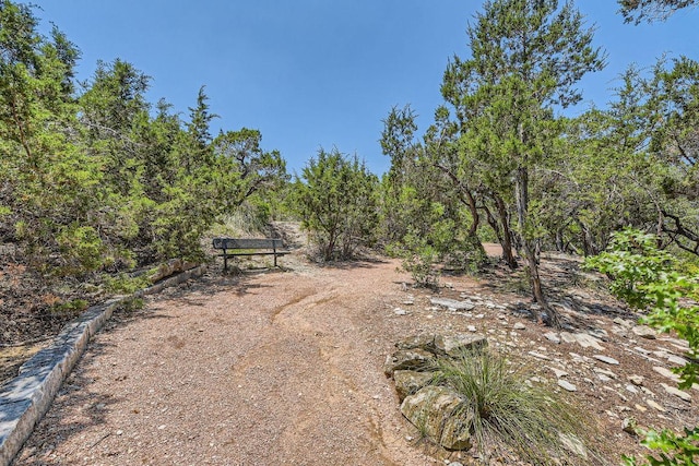 7701 Crackling Creek Dr, Austin, TX 78736 - view of yard