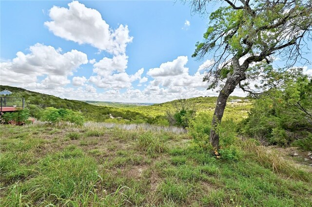 21522 Long Hill Dr, Leander, TX 78641 - photo 6