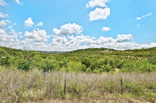 21522 Long Hill Dr, Leander, TX 78641 - photo 8