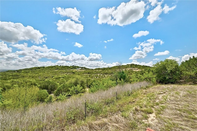 21522 Long Hill Dr, Leander, TX 78641 - photo 9