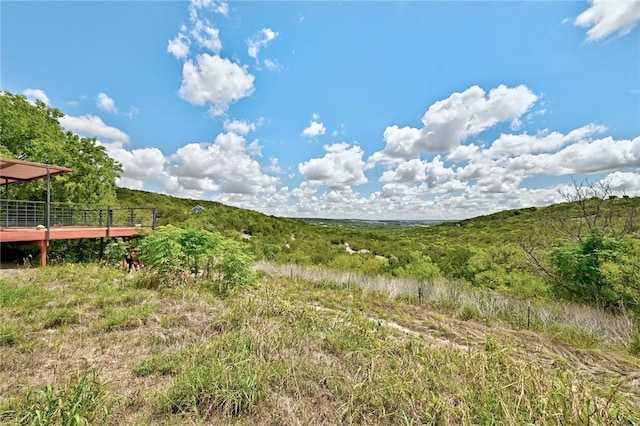 21522 Long Hill Dr, Leander, TX 78641 - photo 10