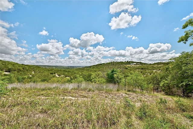 21522 Long Hill Dr, Leander, TX 78641 - photo 11