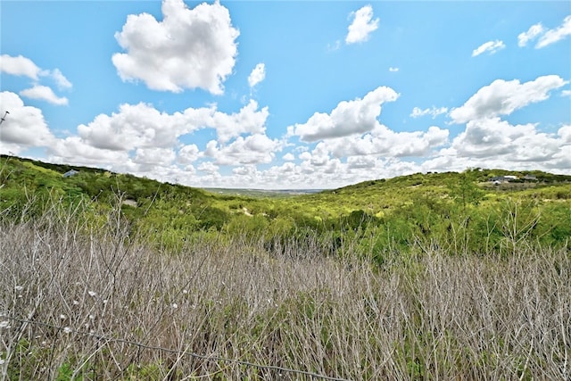 21522 Long Hill Dr, Leander, TX 78641 - photo 12
