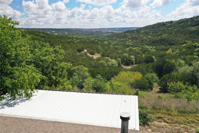 21522 Long Hill Dr, Leander, TX 78641 - photo 21