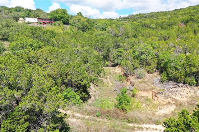 21522 Long Hill Dr, Leander, TX 78641 - photo 26