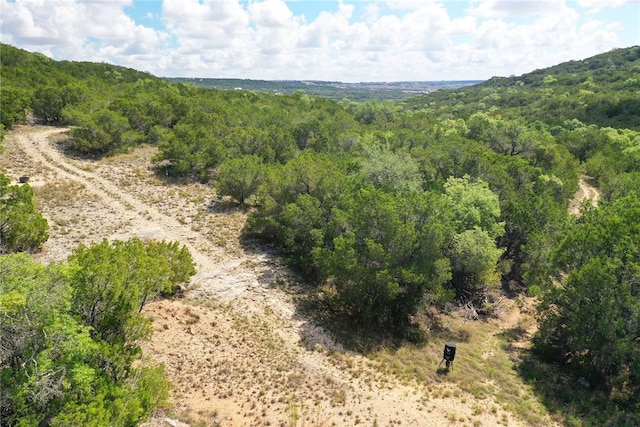 21522 Long Hill Dr, Leander, TX 78641 - photo 27