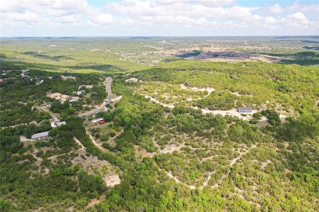 21522 Long Hill Dr, Leander, TX 78641 - photo 29