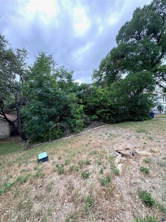 3409 Rosefinch Trl, Austin, TX 78746 - photo 2