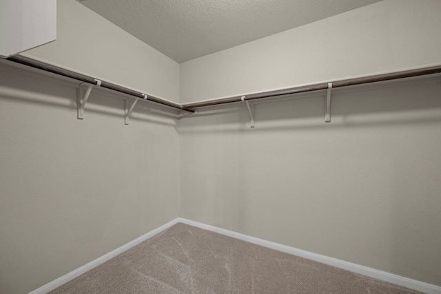 144 Sulphur River Loop, Hutto, TX 78634 - walk in closet with carpet floors