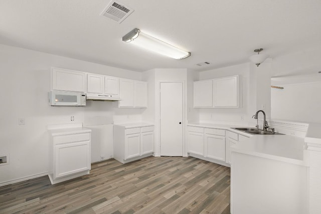 120 Wegstrom St, Hutto, TX 78634 - kitchen with a sink, under cabinet range hood, a peninsula, and wood finished floors
