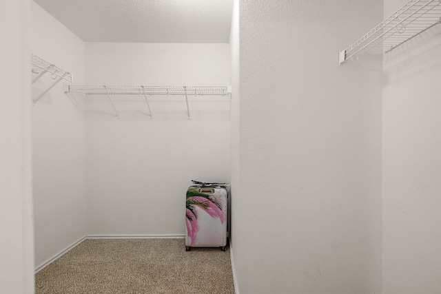 120 Wegstrom St, Hutto, TX 78634 - photo 8