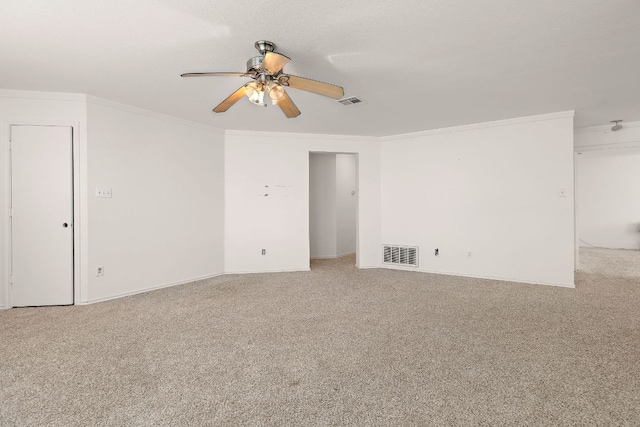 120 Wegstrom St, Hutto, TX 78634 - photo 10