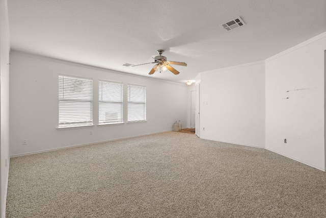 120 Wegstrom St, Hutto, TX 78634 - unfurnished room with ornamental molding, a ceiling fan, carpet floors, and baseboards