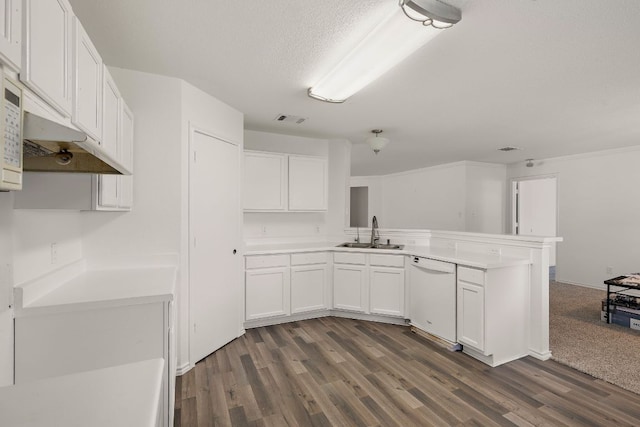 120 Wegstrom St, Hutto, TX 78634 - kitchen with white dishwasher, a sink, a peninsula, dark wood finished floors, and white cabinetry