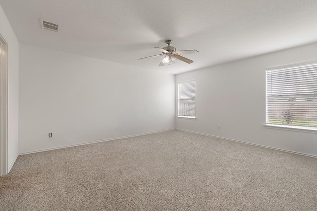 120 Wegstrom St, Hutto, TX 78634 - empty room featuring plenty of natural light, ceiling fan, and carpet