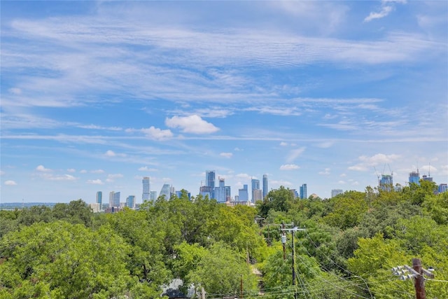 207 W Johanna St Unit 102, Austin, TX 78704 - view of city skyline