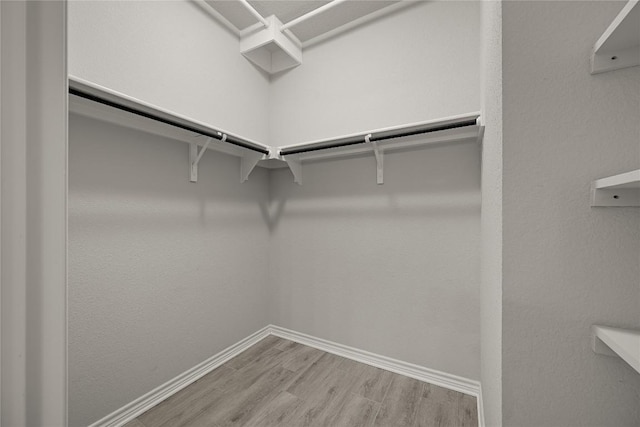521 Rearing Mare Pass, Georgetown, TX 78626 - walk in closet with wood finished floors